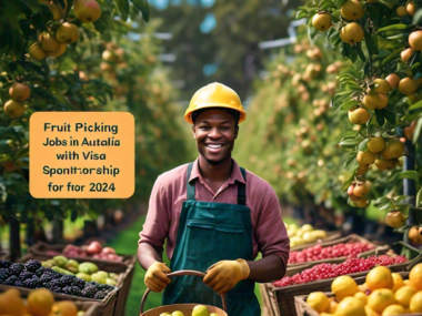 Fruit Picking Jobs in Australia with Visa Sponsorship for 2024